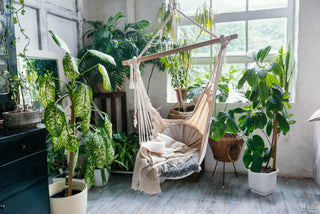 Bringing the Outdoors In: Our Guide to Green, Leafy Interiors