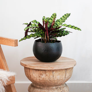 Hammered Bowl Black & Copper Large