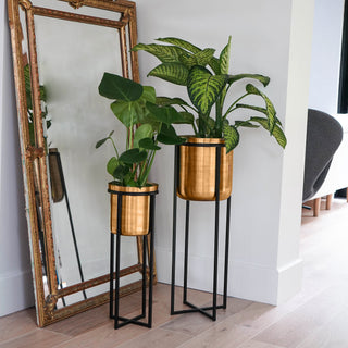 Calla Planter Black & Antique Gold Small