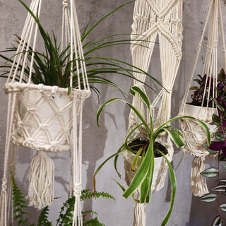 Macrame Small Pot Holder