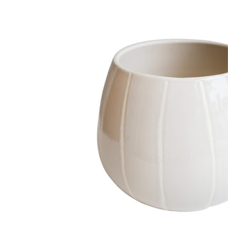 Folium Cream Wax Relief Planter