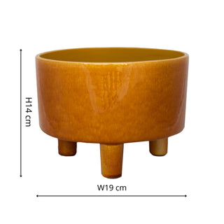 Pisa Mustard Bowl