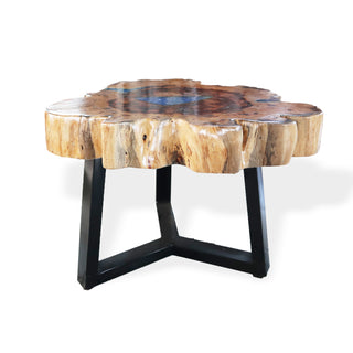 Tamarind and Blue Resin Coffee Table